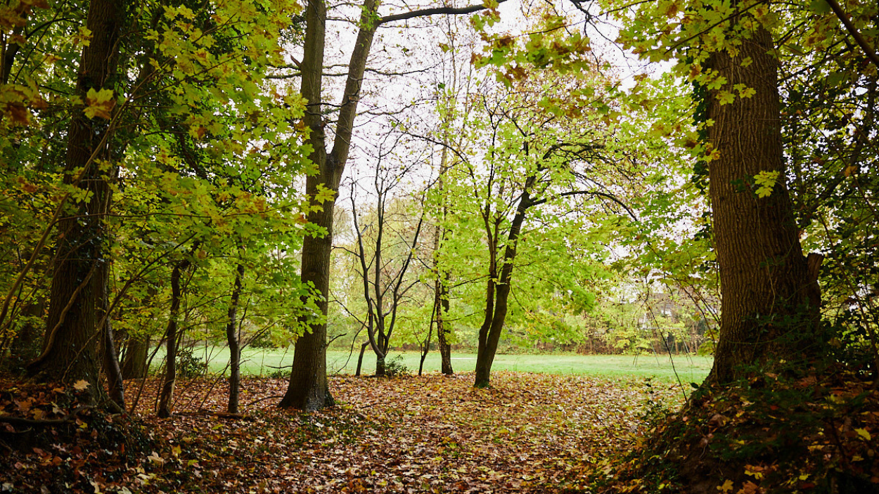         epse-woningen-diekman-dortherweg-nieuwbouw