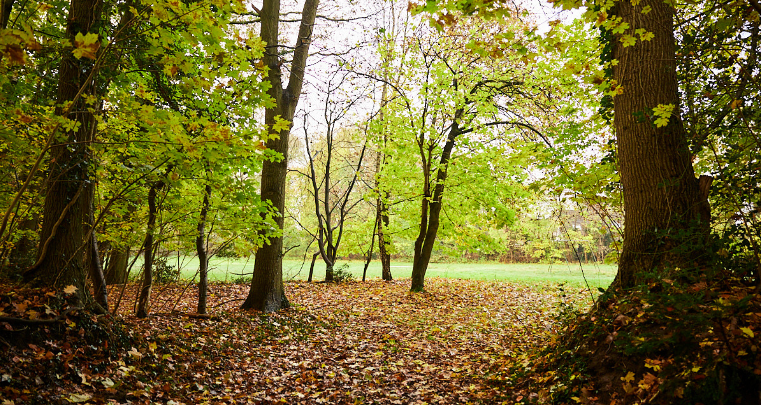         epse-diekman-duurzaam-herontwikkeling