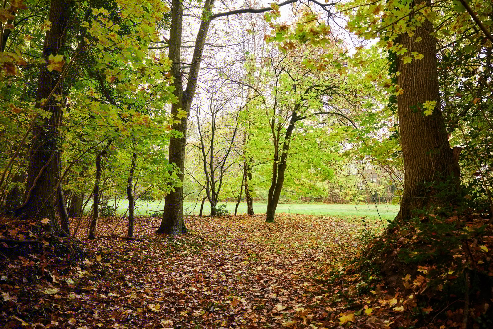         epse-woningen-diekman-dortherweg-nieuwbouw