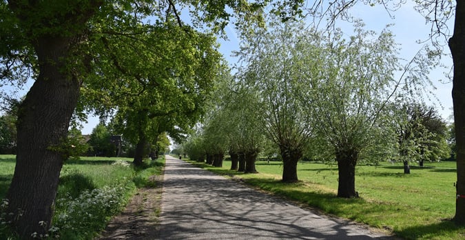 Opmaat_Wonen_Projectontwikkeling_nijbroek