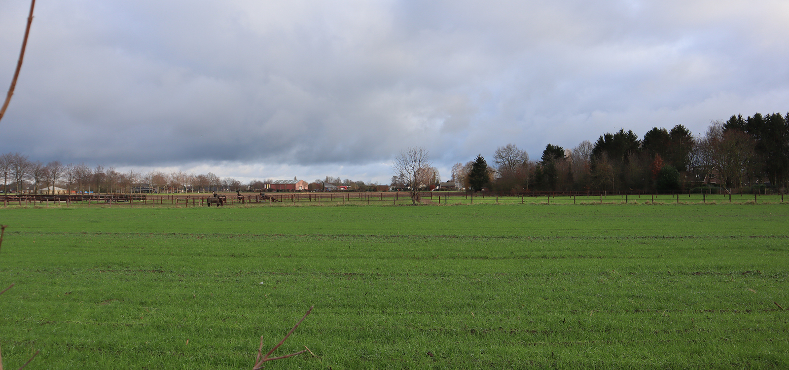 Opmaat_Wonen_Projectontwikkeling_Hero_large-Opmaat-Algemeen-nieuwsbrief