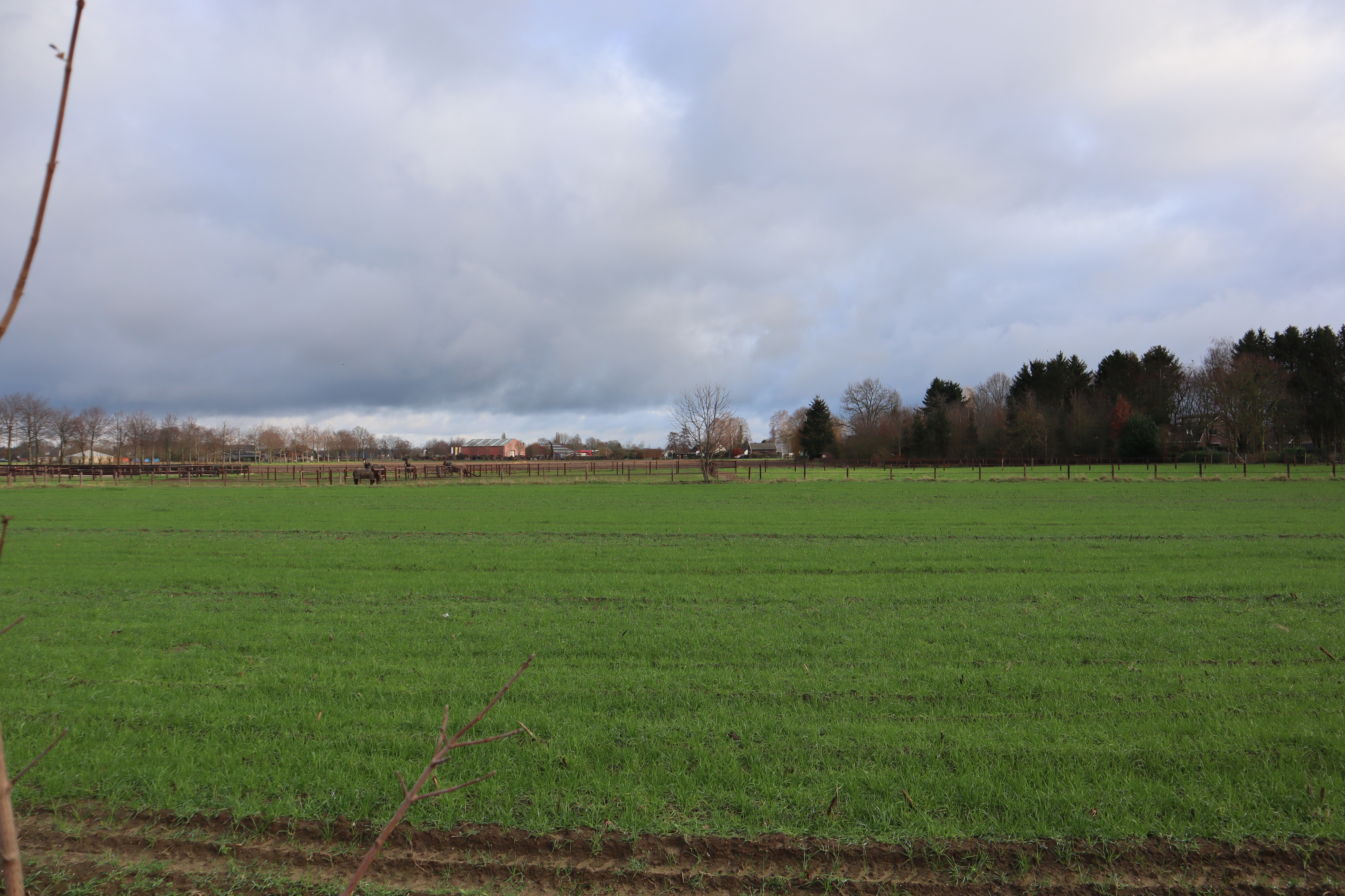 Locatie2