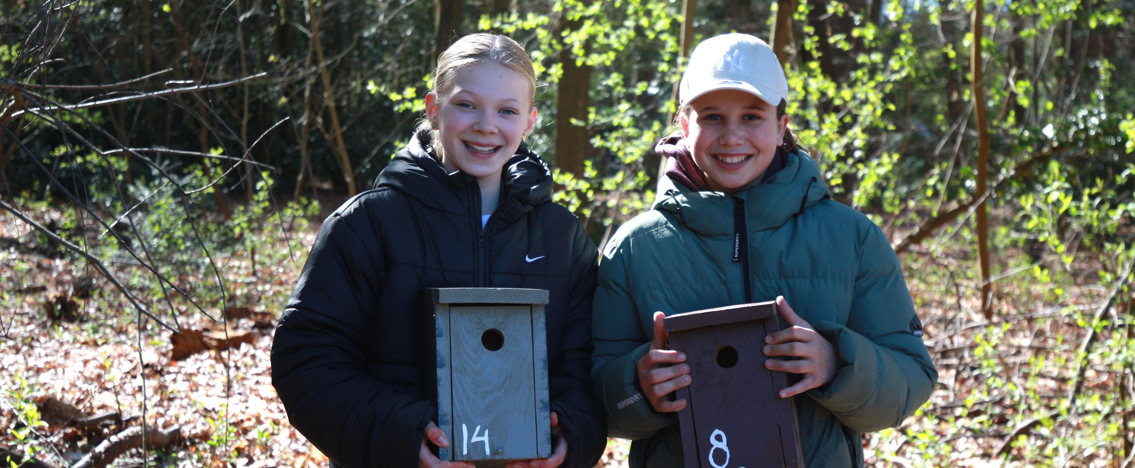 Epse-Hof-van-dorth-hoevenschool-groep-8-vogelhuisjes