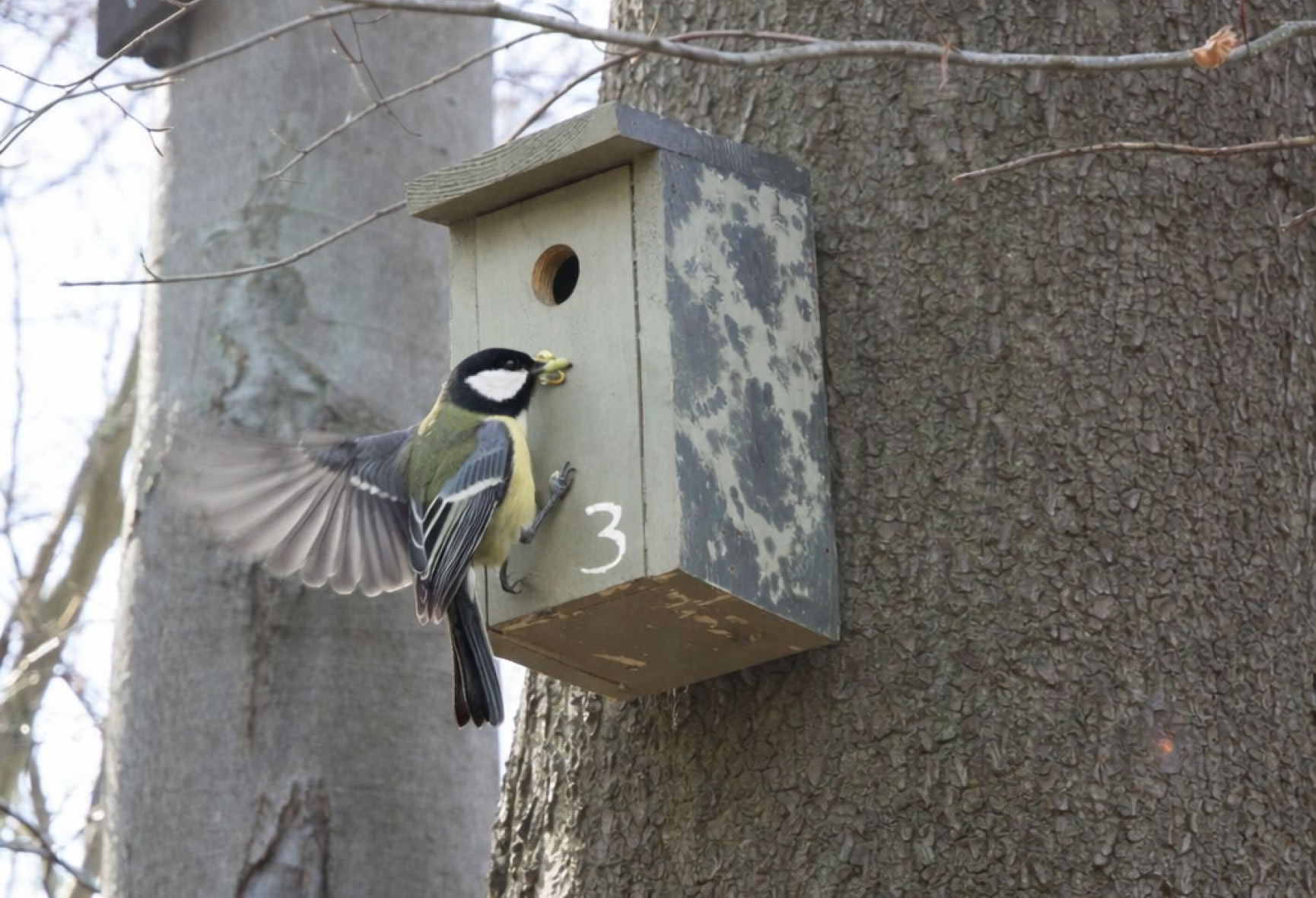 Opmaat_wonen_projectontwikkeling_Media_slider_Epse-Hof-van-dorth-hoevenschool