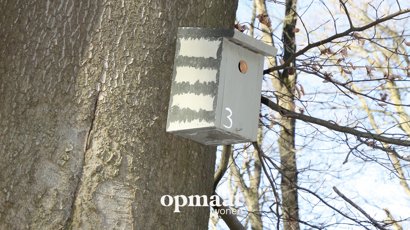 Opmaat_wonen_projectontwikkeling_Media_slider_Epse-Hof-van-dorth-hoevenschool9