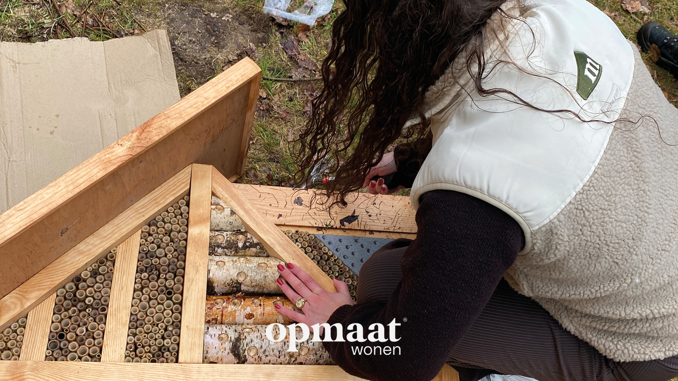 hof-van-dorth-epse-dortherweg-diekman-oost-nieuwbouw-ontwikkeling-projectontwikkelaar