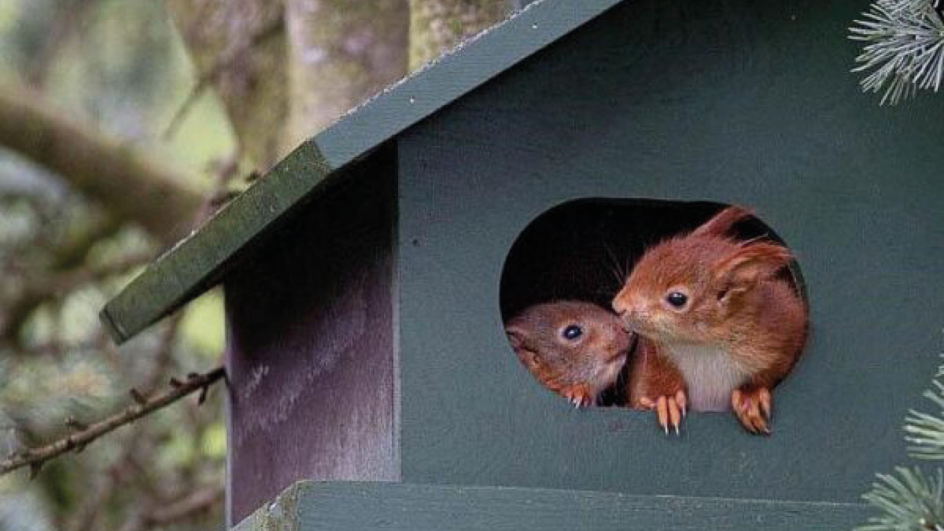 Versterken natuur als startpunt15