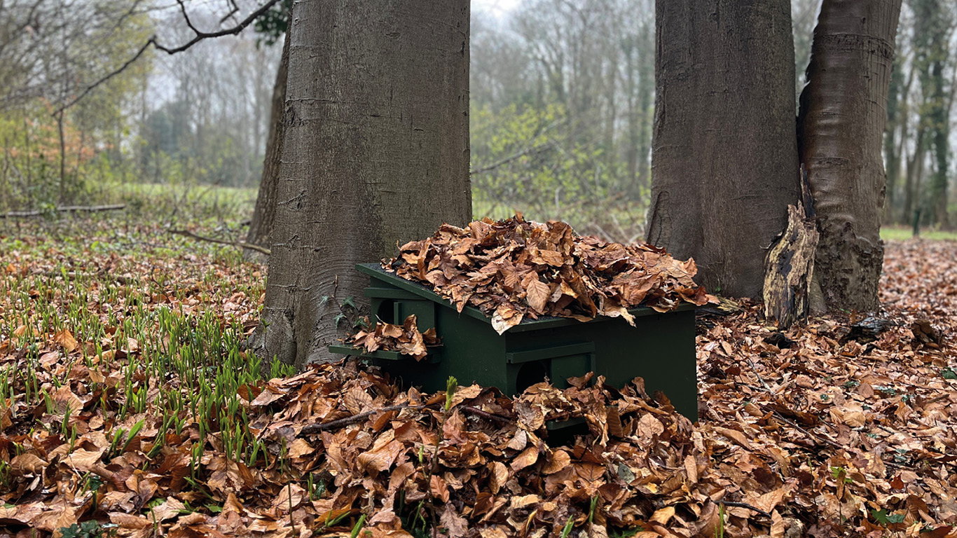 hof-van-dorth-epse-dortherweg-diekman-oost-nieuwbouw-ontwikkeling-projectontwikkelaar