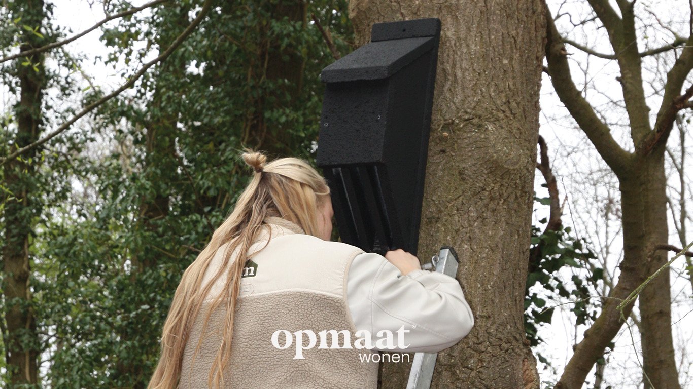 hof-van-dorth-epse-dortherweg-diekman-oost-nieuwbouw-ontwikkeling-projectontwikkelaar