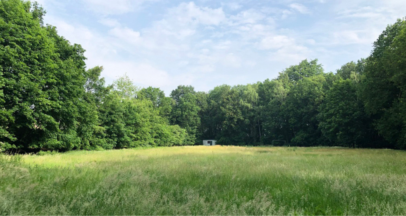 blog & nieuws - image with content (1)-1